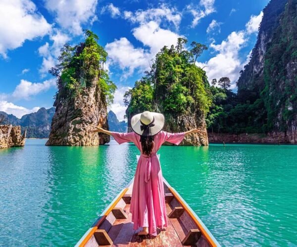 Andaman Island Mice Package